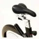Спінбайк RealRyder ABF8