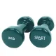 Гантель Rising виниловая DB2113-1Blue 2 х 1 кг