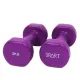 Гантель Rising виниловая DB2113-1Blue 2 х 1 кг