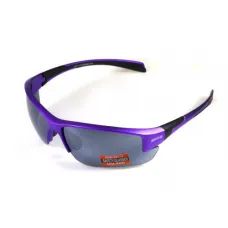 Очки защитные открытые Global Vision Hercules-7 Purple (silver mirror) зеркальные серые
