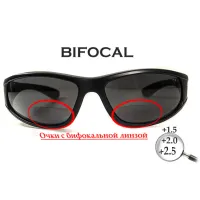 Бифокальные поляризационные защитные очки 3в1 BluWater Winkelman-2 (+2.5) Polarize (gray) серые