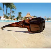 Очки поляризационные защитные 2в1 BluWater Babe Winkelman Polarized (brown) коричневые