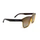 Окуляри поляризаційні BluWater Saltee Polarized (gradient brown), коричневі з градієнтом лінзи в коричневій напівпрозорій оправі