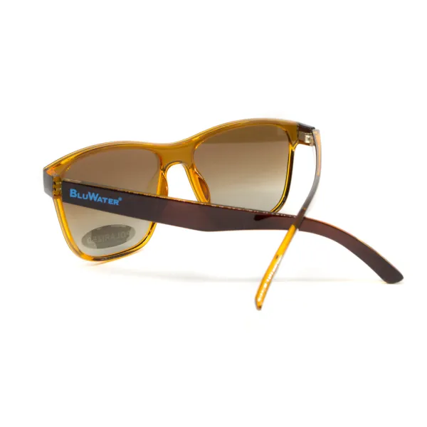 Окуляри поляризаційні BluWater Saltee Polarized (gradient brown), коричневі з градієнтом лінзи в коричневій напівпрозорій оправі