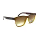 Окуляри поляризаційні BluWater Saltee Polarized (gradient brown), коричневі з градієнтом лінзи в коричневій напівпрозорій оправі