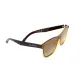 Окуляри поляризаційні BluWater Saltee Polarized (gradient brown), коричневі з градієнтом лінзи в коричневій напівпрозорій оправі