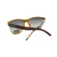 Окуляри поляризаційні BluWater Saltee Polarized (gradient gray), сірі з градієнтом лінзи в коричневій напівпрозорій оправі