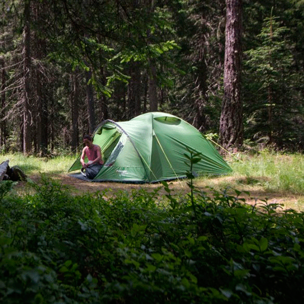 Палатка Vango Tay 200 Treetops