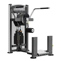 Для м'язів стегна та сідничних IMPULSE Max Total Hip Machine IT9309