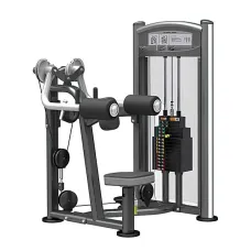 Дельта-машина IMPULSE Lateral Raise Machine IT9324