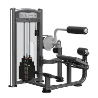 Розгинач спини IMPULSE Back Extension With Round Pad IT9332