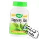 Слизький В'яз (SLIPPERY ELM BARK) 100 капсул