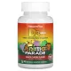 Витамин D3 со вкусом черной вишни, без сахара (Vitamin D3, Animal Parade) 500 МЕ 90 конфет