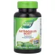 Корень Астрагала (Astragalus Root) 470 мг 100 капсул