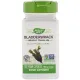 Ламінарія (BLADDERWRACK) 100 капсул
