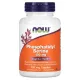 Фосфатидилсерін (PhosphatidylSerine), NOW Foods, 100 мг 120 капсул