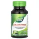 Концентрований хлорофіл (Chlorofresh) 90 капсул