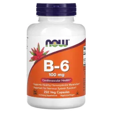 Витамин В6 (Vitamin B6) 100 мг 250 капсул