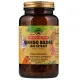 Листя Гінкго Білоба (Ginkgo Biloba) 135 мг 180 капсул