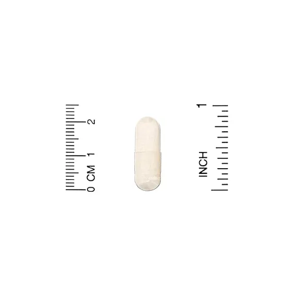 Мастикова смола (Mastic Gum) 500 мг 180 капсул