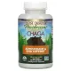 Чага (Chaga) 500 мг 120 капсул