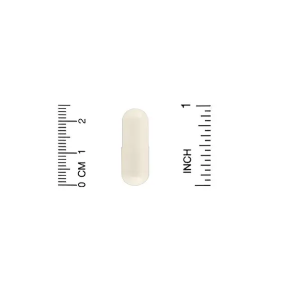 Альфа-ліпоєва кислота (Alpha Lipoic Acid) 600 мг 120 капсул