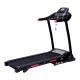 Бігова доріжка EuroFit 141 A