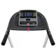 Бігова доріжка EuroFit Pacer R2