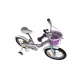 Велосипед детский RoyalBaby Chipmunk MM Girls 16