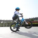 Велосипед RoyalBaby FREESTYLE 18