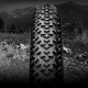 Покрышка Continental Race King, 26 x 2.20, черная, не складная skin