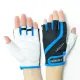 Перчатки Stein Betty GLL-2311blue/L