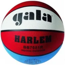 Мяч баскетбольный Gala BB7051R