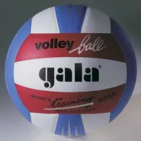 М'яч волейбольний Gala Training BV5531SBE