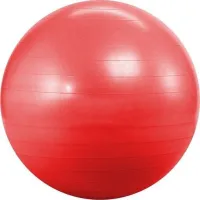 Фитбол Landfit 55 см (с насосом) (Fitness Ball 55cm)