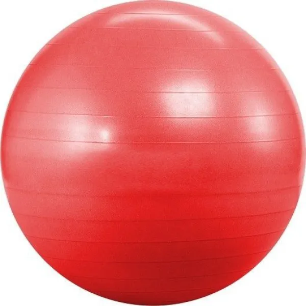 Фітбол Landfit 55 см (з насосом) (Fitness Ball 55cm)