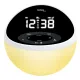 Годинник настільний з радіо Technoline WT500 Black/White (WT500)