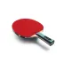Набір для настільного тенісу Team Butterfly Advance FL x2 (6256900002-1)