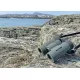 Бінокль Kowa BD II 8x32 XD (11896)