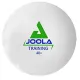 М'ячі для настільного тенісу Joola Training 40+ 144 шт (44235)