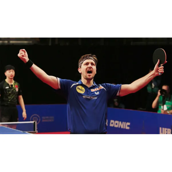 Ракетка для настільного тенісу Butterfly Timo Boll Force FL (6110300002)