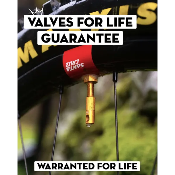 Ніпелі Peaty's x Chris King Tubeless Valves, 42mm, Gold