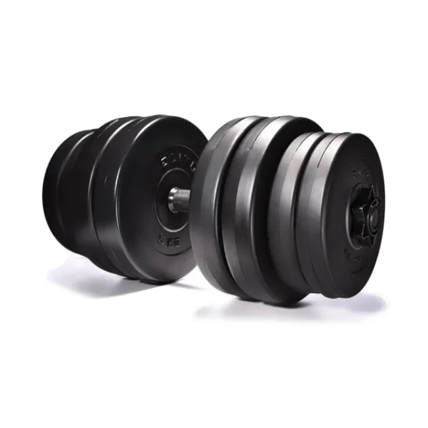 Гантели Elitum 2 х 31кг