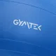 Фітбол Gymtek 65см синій + насос