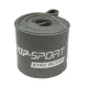 Резинка для фитнеса Hop-Sport 55-137кг HS-L101RR серая