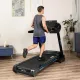 Беговая дорожка GYMTEK XT900