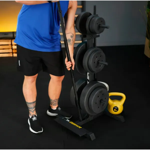 Стійка для дисків та грифів Trex Sport TX-065WR з полицями