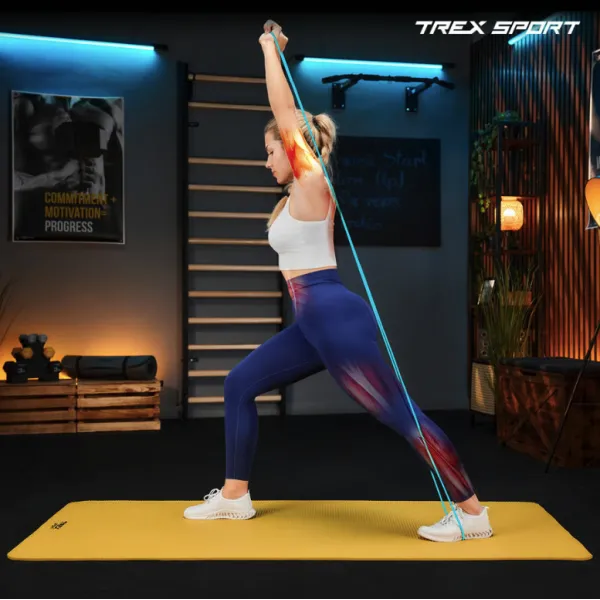 Набір резинок для фітнесу Trex Sport TX-004PB Power Band 4в1 2-41кг