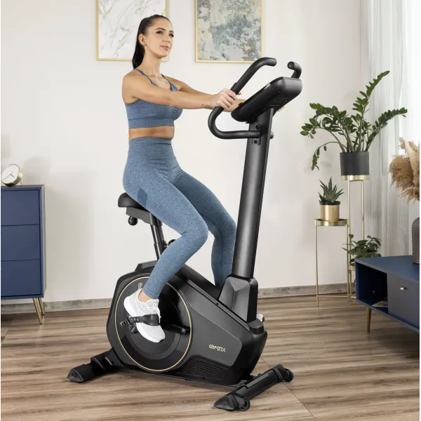 Велотренажер Gymtek XB6000 электромагнитный золотой