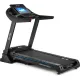Беговая дорожка GYMTEK XT900